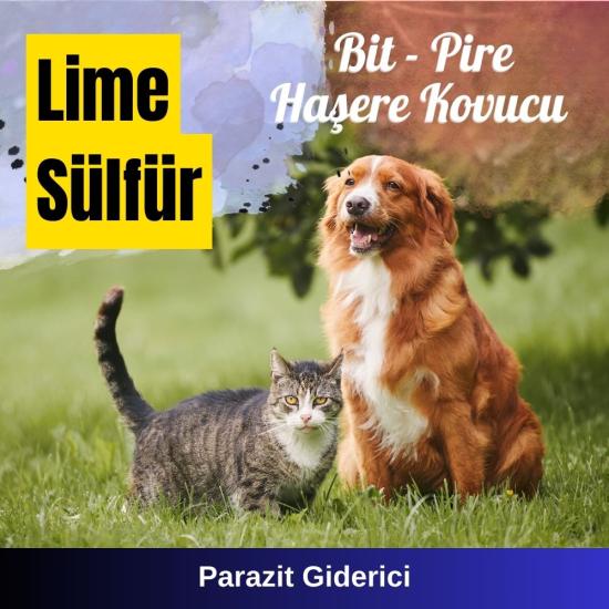 Lime Sülfür Sprey Parazit Giderici Yetişkin Kedi Köpek İçin 100 ML